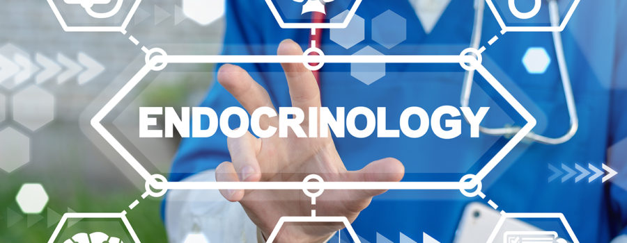 What is Endocrinology - Wichita Diabetes And Endocrinology